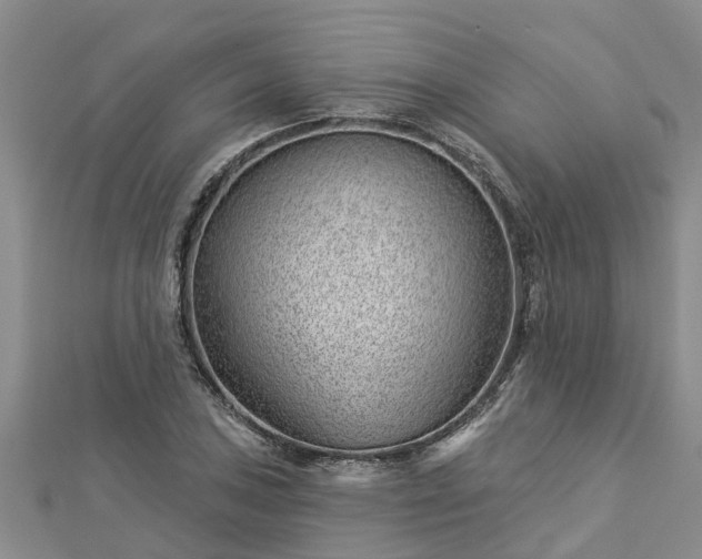 X0000113001027200909031249