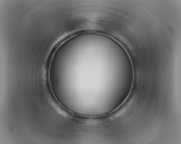 X0000113001029200909031249