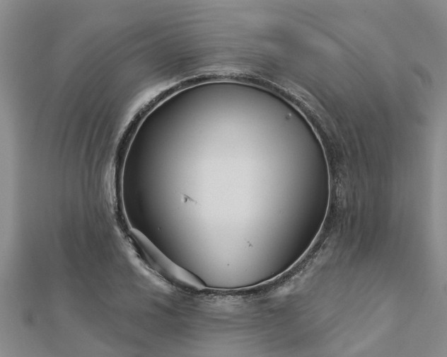 X0000113001030200909031249