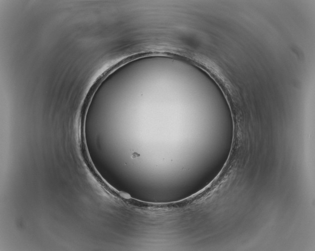 X0000113001032200909031249