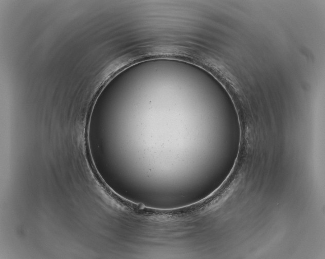 X0000113001033200909031249