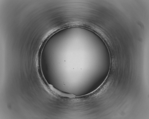 X0000113001034200909031249