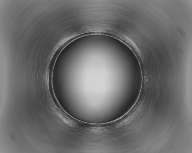 X0000113001035200909031249