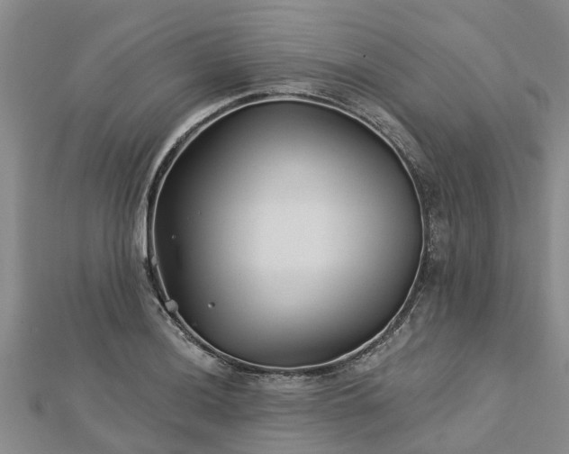 X0000113001036200909031249