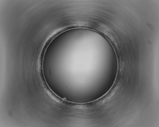 X0000113001037200909031249