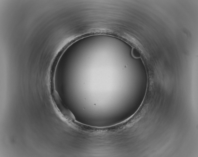 X0000113001038200909031249