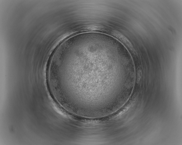 X0000113001039200909031249