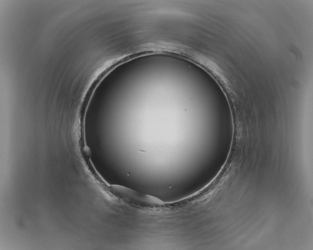 X0000113001040200909031249