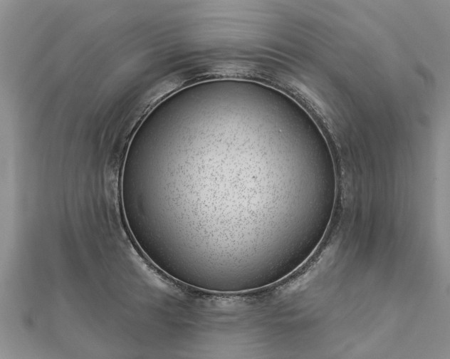 X0000113001041200909031249