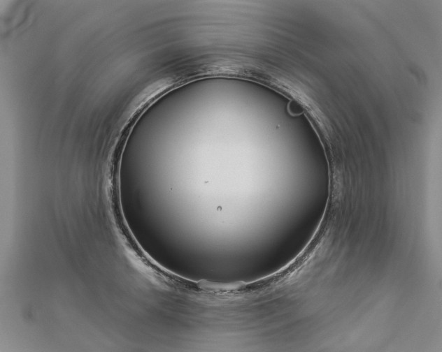 X0000113001042200909031249