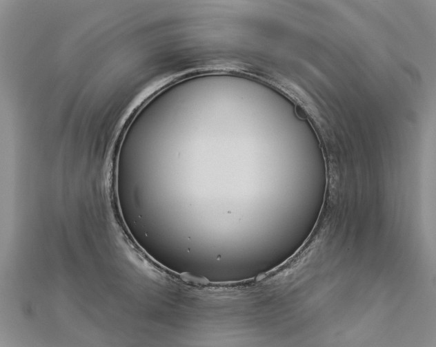 X0000113001044200909031249