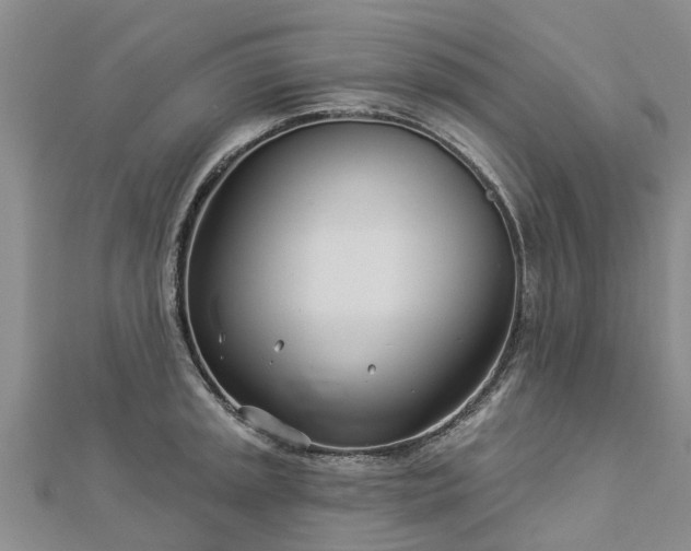 X0000113001045200909031249