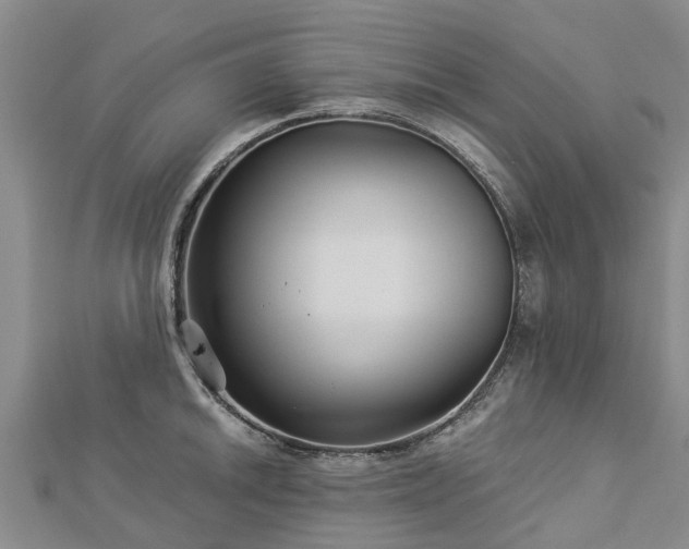 X0000113001046200909031249