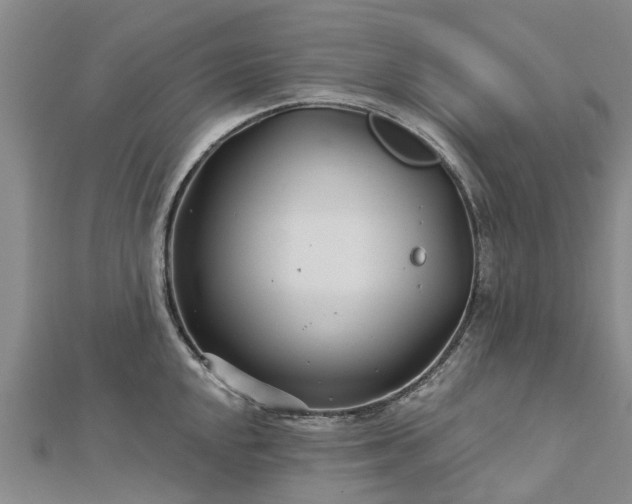 X0000113001048200909031249