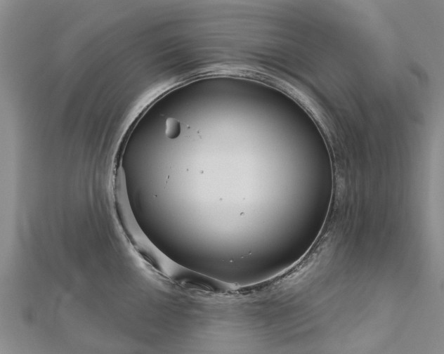 X0000113001050200909031249