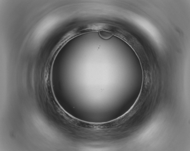 X0000113001052200909031249