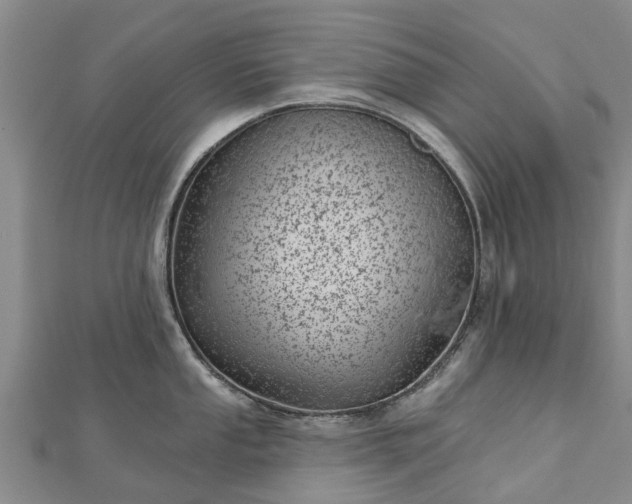 X0000113001053200909031249