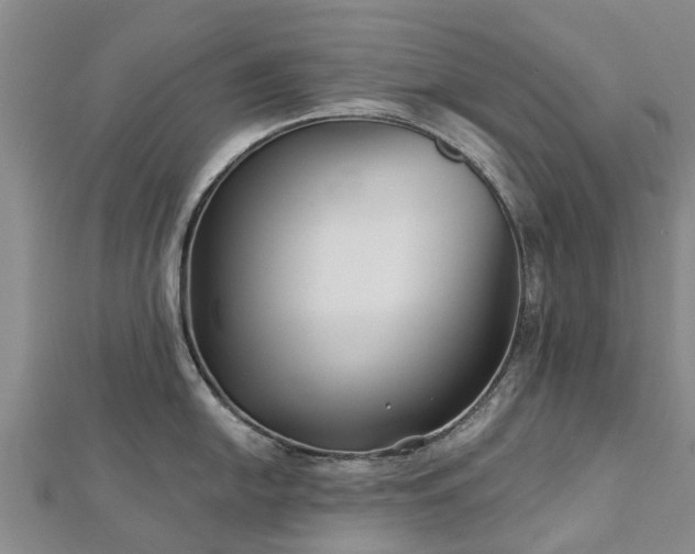 X0000113001054200909031249