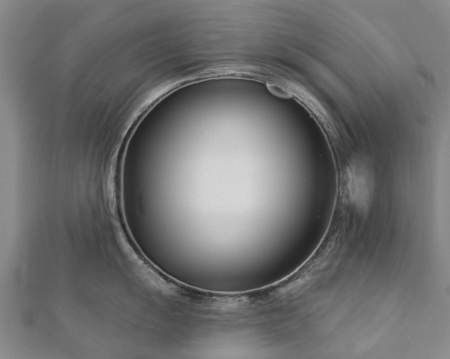 X0000113001055200909031249