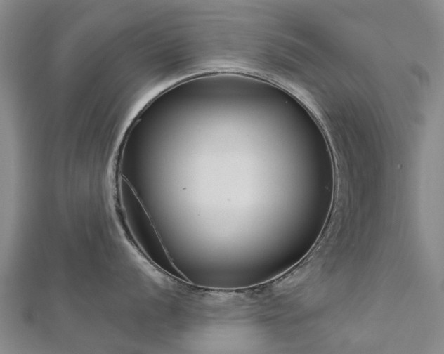 X0000113001056200909031249