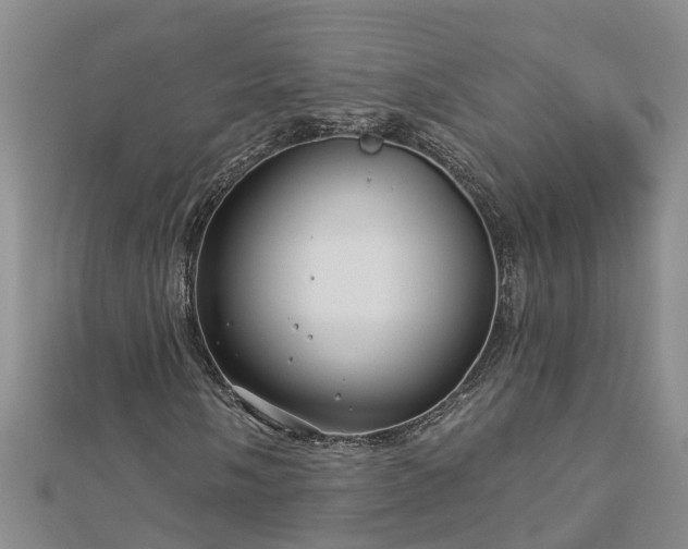 X0000113001058200909031248