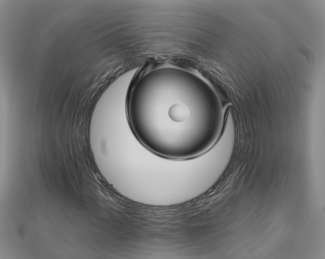 X0000113001060200909031248