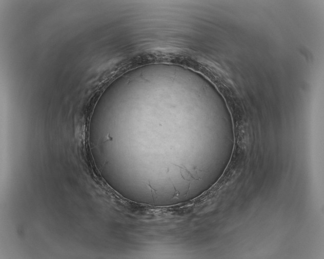 X0000113001061200909031248