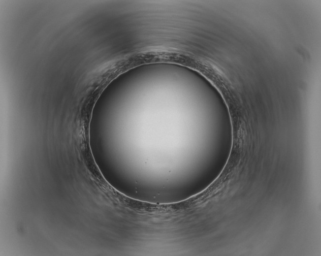 X0000113001062200909031248