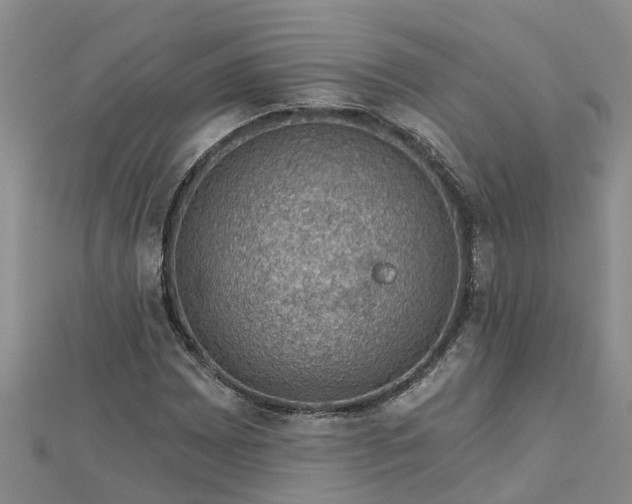 X0000113001065200909031248