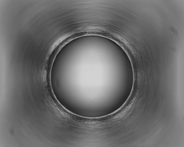 X0000113001066200909031248