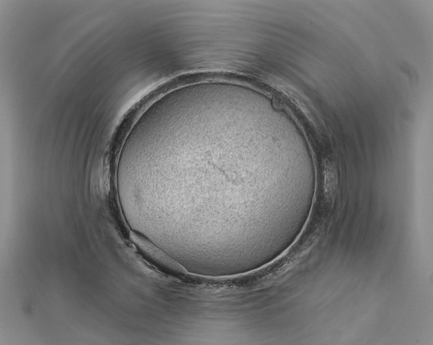 X0000113001069200909031248