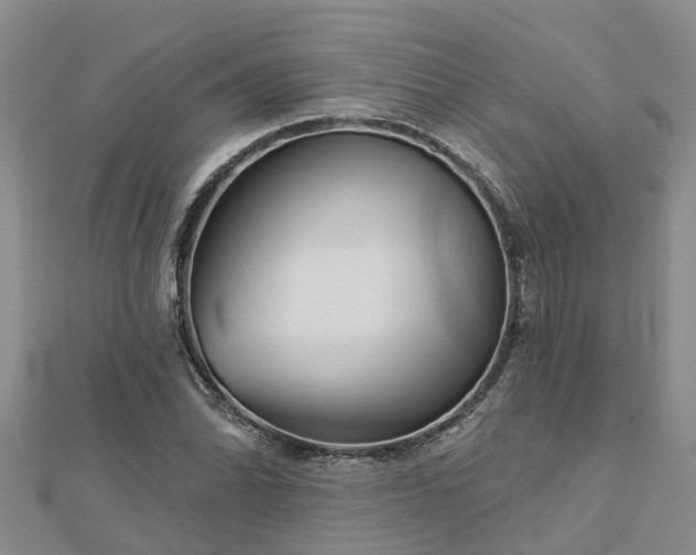 X0000113001070200909031248