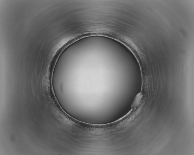 X0000113001071200909031248