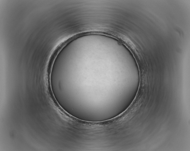 X0000113001072200909031248