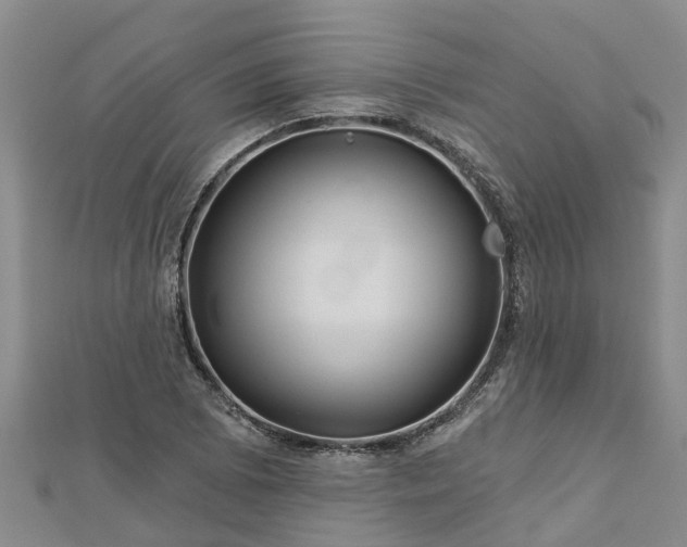 X0000113001073200909031248