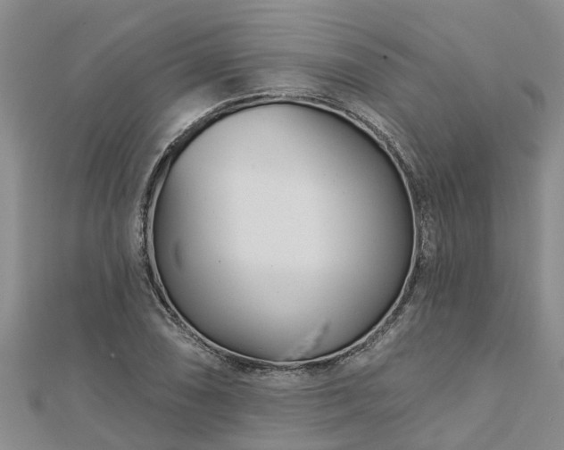 X0000113001074200909031248