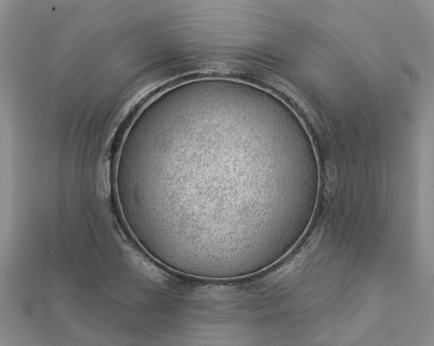 X0000113001075200909031248