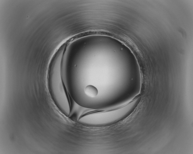 X0000113001076200909031248