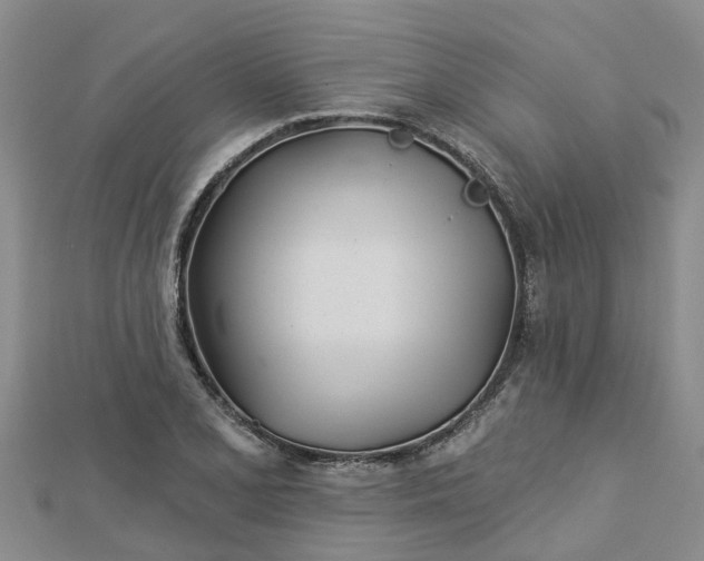 X0000113001077200909031248