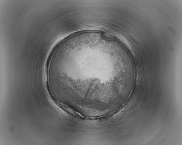 X0000113001080200909031248