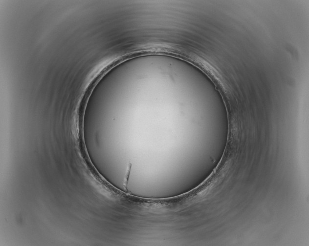 X0000113001082200909031248