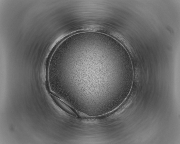 X0000113001083200909031248