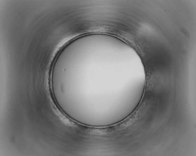 X0000113001086200909031248