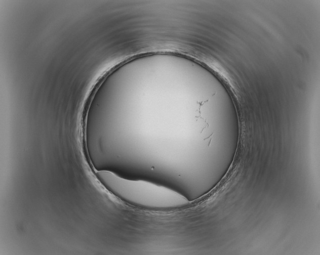 X0000113001088200909031248