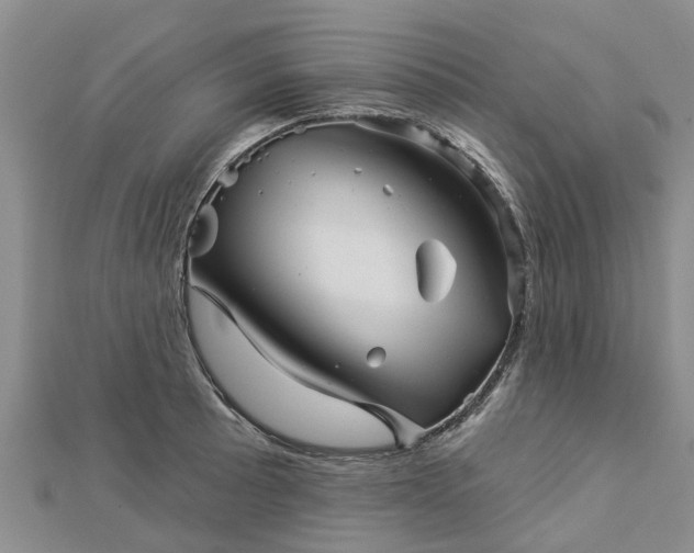 X0000113001089200909031248