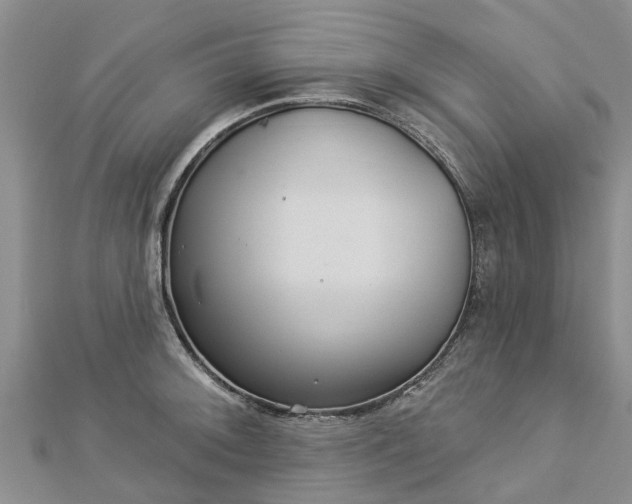 X0000113001092200909031248