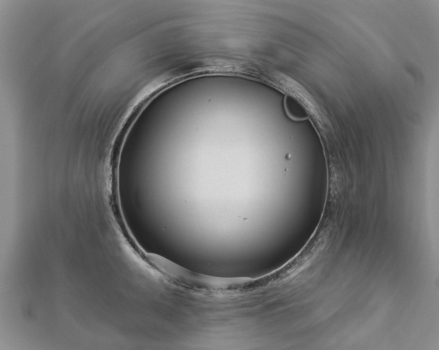 X0000113001095200909031248