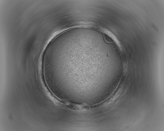 X0000113001099200909031248