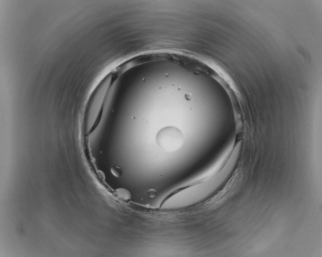 X0000113001101200909031248