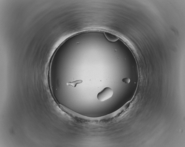 X0000113001102200909031248